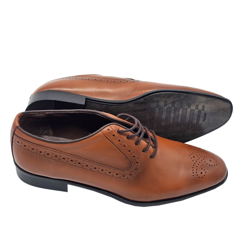 Baggi Leather Shoes - Brown Wing tip